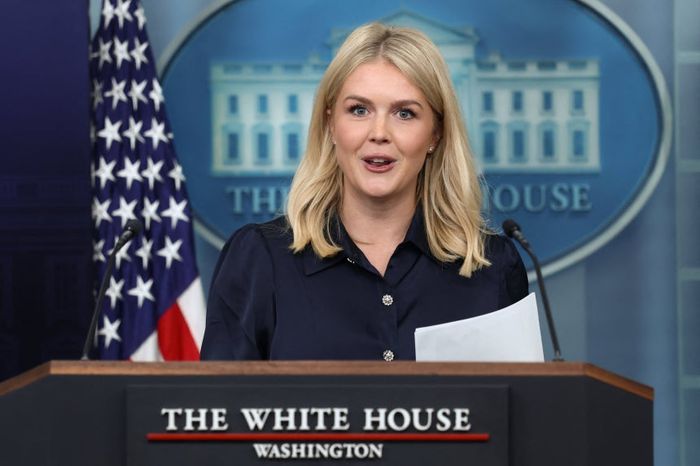 캐롤라인 래빗 백악관 대변인 . AP연합뉴스