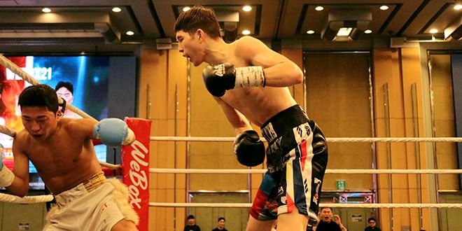 U22 아시아선수권 2위 옌흐사이한 ‘박찬대’ 오유운예르데네가 2025년 12월 스위스그랜드호텔서울 컨벤션센터 동양태평양복싱연맹 슈퍼밴텀급 실버 챔피언결정전에서 세계복싱협회 밴텀급 동아시아 챔피언을 지낸 오상헌한테 두 번째 다운을 뺏고 있다. 사진=KBM 한국복싱커미션