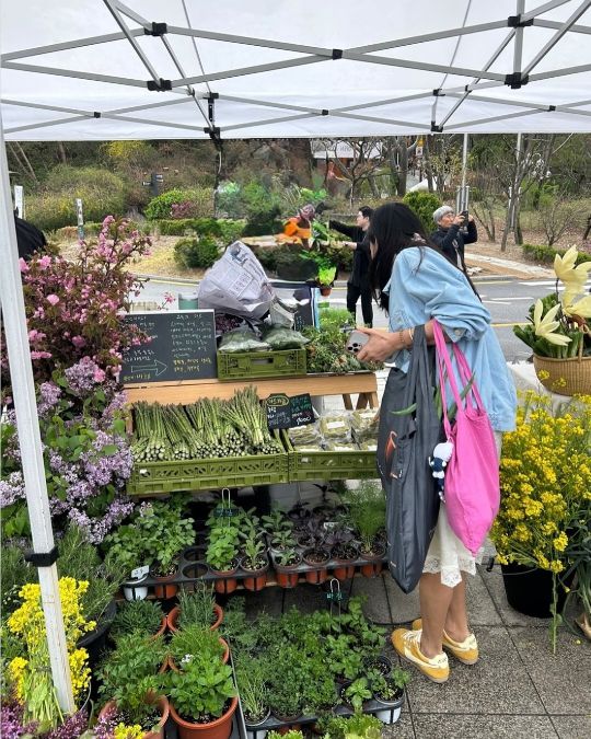 봄나물과 허브, 아스파라거스, 작은 풀 화분이 가득한 시장을 오가며 직접 물건을 고르고 셀프 카메라에 장면을 담는 모습이었다.사진=고소영 SNS