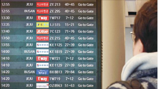 무안국제공항 참사 이후 국내 저비용항공사(LCC)의 안전성 문제가 급부상한 가운데, 국내 대형항공사(FSC)는 합병 절차를 마무리한 ‘통합 대한항공’ 1곳만 남게 돼 소비자 우려가 크다. (매경DB)