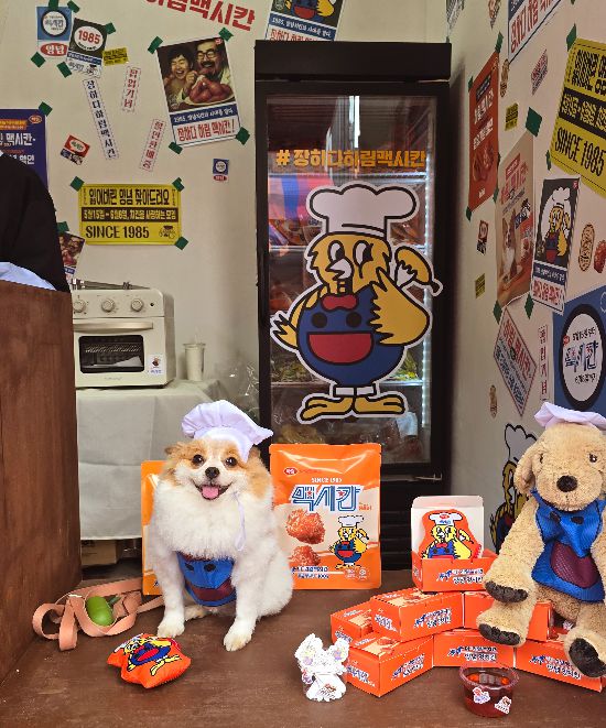 팝업스토어 내부 전경.