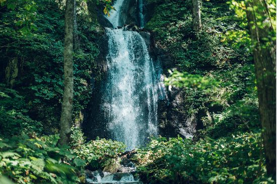 호시노 리조트 오이라세 계류호텔 계류 폭포