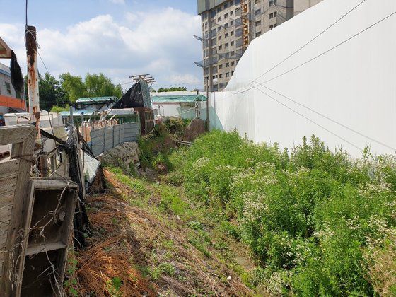 대전시 중구 벽화마을에서 대우건설 아파트 건설현장으로 이어지는 배수로. 배수로가 막힌 채 잡초만 무성한 상태다. [사진 김형기씨]