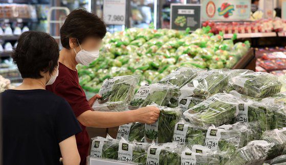 긴 장마가 지속되면서 농산물 가격 폭등이 전망되는 가운데 10일 서울 한 대형마트 농산물 코너에서 시민들이 채소 농산물을 둘러보고 있다. 뉴시스