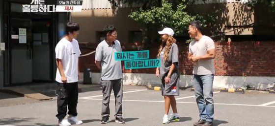 KBS 예능 '개는 훌륭하다'에 출연한 제시. 큼직한 회색 티셔츠에 반바지를 입었다. 사진 개는 훌륭하다 방송 캡처