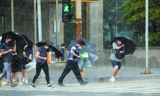 제8호 태풍 '바비'가 북상하는 26일 오후 전남 목포시 목포역 앞 거리에서 태풍이 다가오자 비와 바람이 더욱 거세지고 있다. [연합뉴스]
