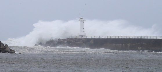 제주도가 제8호 태풍 '바비'의 직접 영향권에 들어간 26일 오전 거대한 파도가 제주 서귀포시 대정읍 모슬포항 방파제를 넘고 있다. 연합뉴스