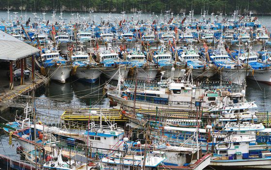 제주가 25일 밤부터 제8호 태풍 '바비'의 영향권에 접어들 것으로 예상되면서 이날 오후 서귀포항에 많은 어선들이 대피해 있다. 연합뉴스