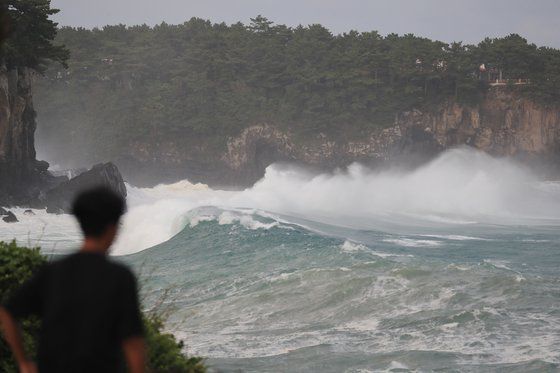 제8호 태풍 '바비'가 제주도를 향해 북상하는 가운데 25일 오후 제주 서귀포시 토평동 앞바다에 거대한 파도가 몰아치고 있다. 연합뉴스