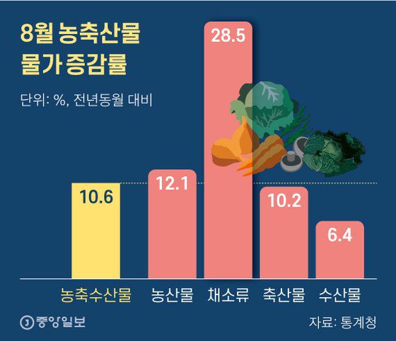 수해 피해로 8월 농축산물 물가가 크게 올랐다. 특히 채소류 가격 상승폭이 컸다. 그래픽=신재민 기자 shin.jaemin@joongang.co.kr