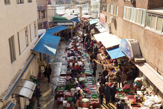 통영 중앙시장 활어시장. 다찌의 신선한 해산물 대부분이 이 시장에서 나간다. 백종현 기자