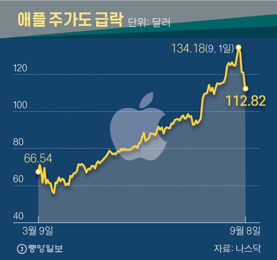 애플 주가도 급락. 그래픽=신재민 기자 shin.jaemin@joongang.co.kr