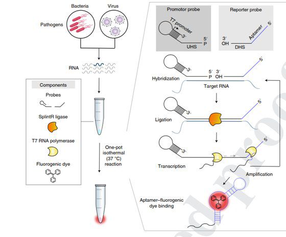 SENSR의 개략도 [사진 포스텍]
