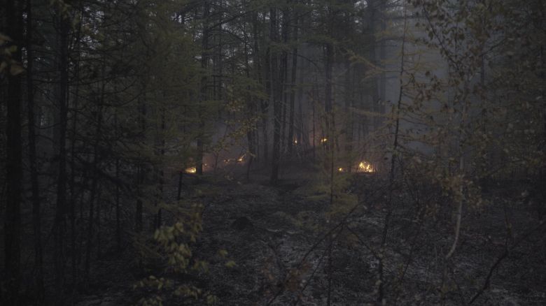 시베리아의 숲에선 화재 진압에도 불구하고 땅 속 불길이 끊임없이 살아나 나무를 태웠다. 사진 sreda studio