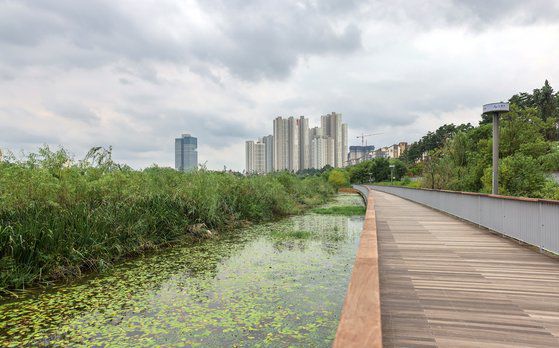 광교신도시의 명소로 꼽히는 광교호수공원. 너른 호수를 따라 데크 길이 잘 조성돼 있다. [사진 한국관광공사]