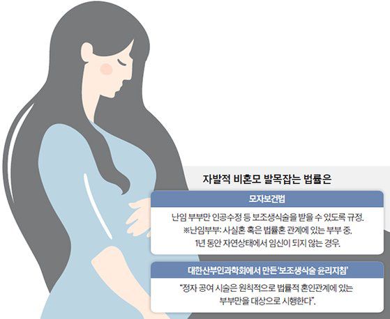 자발적 비혼모 발목잡는 법률
