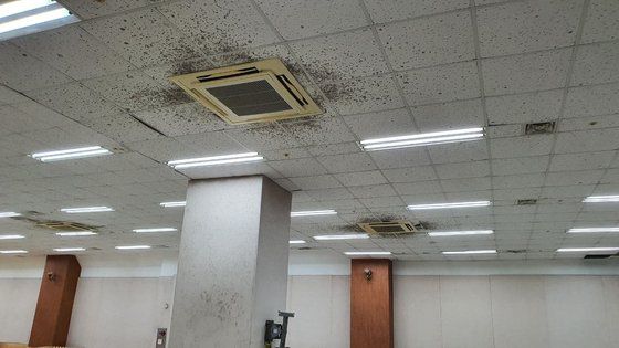 신천지 대구교회 내부 모습. [독자제공]