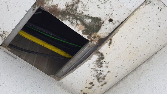 신천지 대구교회 내부 모습. [독자제공]