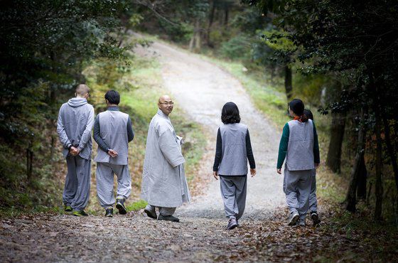 금강 스님이 미황사 템플스테이 참가자들과 함께 절 뒤로 난 산책길을 걷고 있다.[중앙포토]