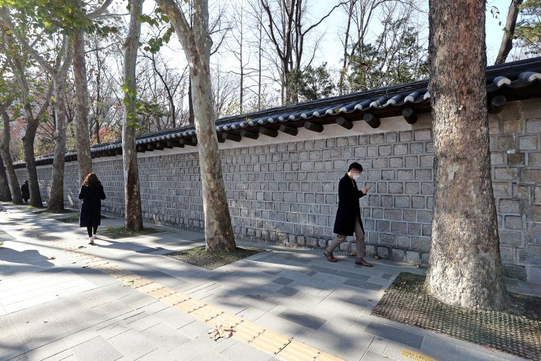 플라타너스와 돌담 사이의 좁은 공간을 즐겨 걷는 시민도 간혹 있다. 최정동 기자