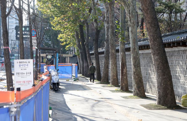 9일 세종대로 보행환경 개선 공사가 한창 진행 중이다. 덕수궁 담장 가까이 늘어선 플라타너스를 잘라내는 것이 최선일까. 최정동 기자