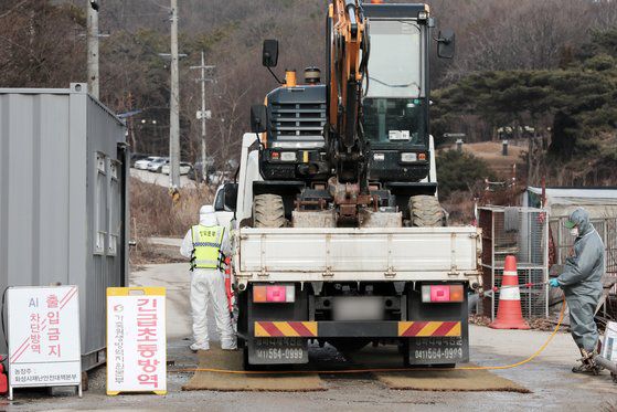 지난 25일 고병원성 조류인플루엔자(AI)가 검출된 경기도 화성시 양감면의 산란계 농장에서 방역 관계자들이 출입차량을 소독하고 있다. [뉴스1]