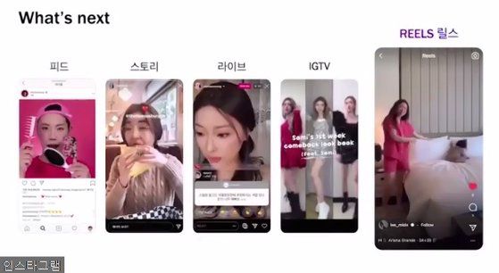 인스타그램은 릴스를 추가하면서 다양한 형태의 사진과 동영상을 모두 지원하는 종합 이미지 플랫폼이 됐다. [사진 인스타그램]
