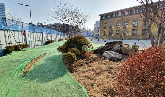 최근 대전시가 대전 중구 선화동 옛 충남도청사 리모델링 과정에서 향나무 128그루를 무단 제거해 논란을 빚고 있다. 프리랜서 김성태