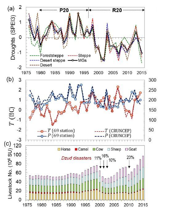 몽골 가뭄과 기후변화, 방목 상황. 맨위 그래프(a)는 강수량-증발량 지수를 나타낸 것으로 최근에는 강수량보다 증발량이 많아 지수가 음수를 나타내면서 가뭄이 심해졌음을 보여준다. 두번째 그래프(b)에서는 붉은색으로 표시된 기온은 점차 상승하는 추세를, 파란색으로 표시된 강수량은 다소 감소 추세를 보이고 있다. 세번째 그래프(c)는 가축 숫자를 보여주는 것으로 지속적으로 증가하는 모습을 보여준다. 중간에 가축이 급격히 감소한 것은 기상재앙인 조드(Dzud) 탓에 가축이 떼죽음 당한 때를 말한다. 폭설이 내린 직후 혹한이 닥치면 초원이 얼어붙어 가축들이 먹이를 구하지 못해 떼죽음을 당하게 된다.