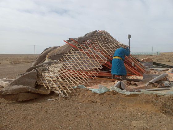 강한 모래 폭풍에 무너진 몽골 유목민의 게르. 푸른아시아