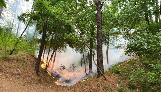 지난 8일 오후 5시31분쯤 대전시 유성에서 발생한 산불이 강한 바람을 타고 확산하고 있다. [사진 산림청]