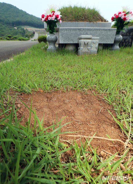 윤석열 전 검찰총장의 조부묘가 고의로 훼손됐다는 보도가 나온 가운데 20일 오전 세종시 장군면에 위치한 윤 전 총장의 조부모 묘 앞 잔디 일부가 훼손돼 있다. 뉴시스