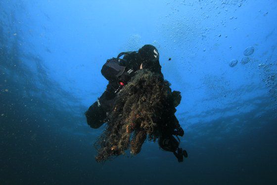 한려해상국립공원 홍도 인근 수중에서 다이버가 폐그물을 수거하고 있다. 국립공원을지키는시민의모임