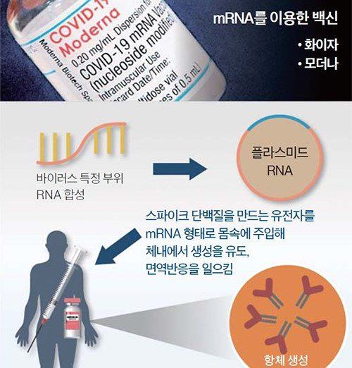 미국 CNN, CNBC 방송의 26일(현지시각) 보도에 따르면 FDA는 화이자와 모더나 백신의 팩트 시트(기업 혹은 제품이나 서비스의 이해를 돕기 위해 제공하는 주요 사항 요약서)에 심근염과 심낭염의 위험성을 경고하는 문구를 25일 추가했다. 경고문에는 지금까지 보고된 부작용을 보면 심근염과 심낭염의 발병 우려가 높아질 수 있다는 가능성이 있다는 내용이 담겼다. 중앙포토