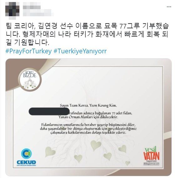 산불 피해를 입은 터키에 묘목을 기부했다는 SNS 글. 트위터 캡처
