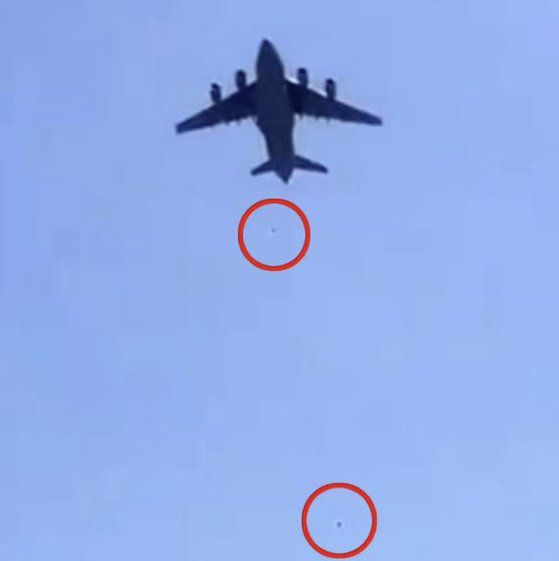 데일리메일 홈페이지 캡처