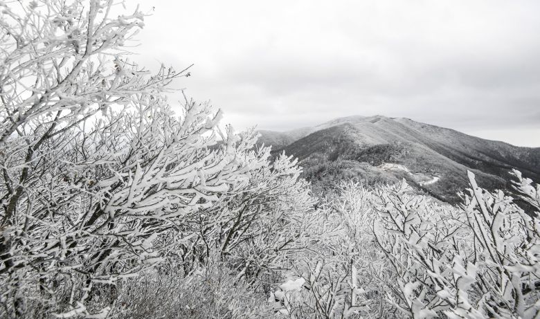 지난 11일 상고대가 핀 전북 남원의 지리산 정령치. 연합뉴스