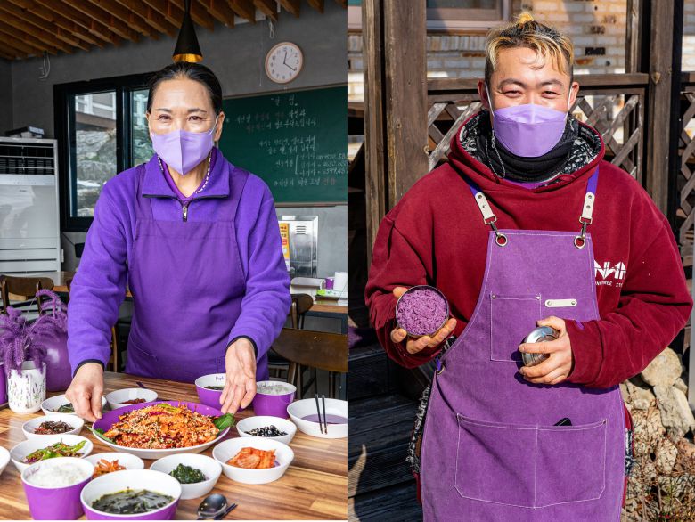 퍼플섬은 식당과 음식도 보랏빛이다. 앞치마부터 그릇까지 모두 보라색으로 꾸민 박지도 마을식당(왼쪽 사진). 반월도 마을식당에서는 꽃과 약재를 달여 지은 보라색 '퍼플밥'을 맛볼 수 있다. 백종현 기자