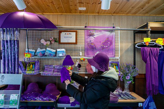 퍼플섬 필수품은 보랏빛 의상과 소품이다. 보라색 옷이나 모자, 신발을 착용하면 입장료가 면제다. 퍼플섬 입구 기념품 가게에서 여러 소품을 판매한다.