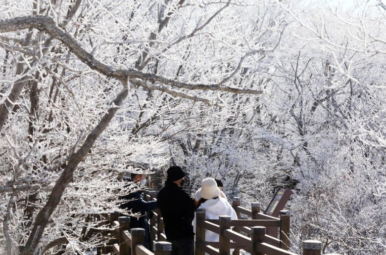 지난달 20일 제주 한라산국립공원 1100고지 일대에서 관광객과 도민들이 겨울 정취를 즐기고 있다. 뉴스1
