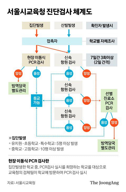 서울시교육청 진단검사 체계도. 그래픽=차준홍 기자 cha.junhong@joongang.co.kr