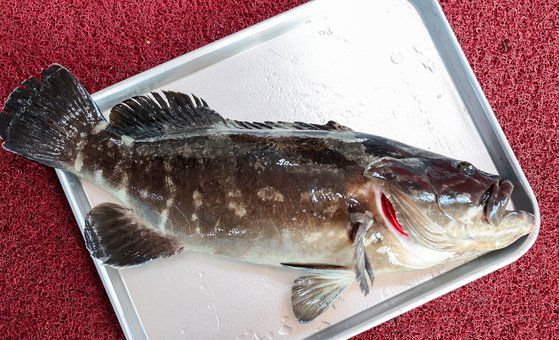 지난해 12월 22일 BTS 지민의 인스타그램에 올라온 게시물. BTS 지민 인스타그램 발췌.