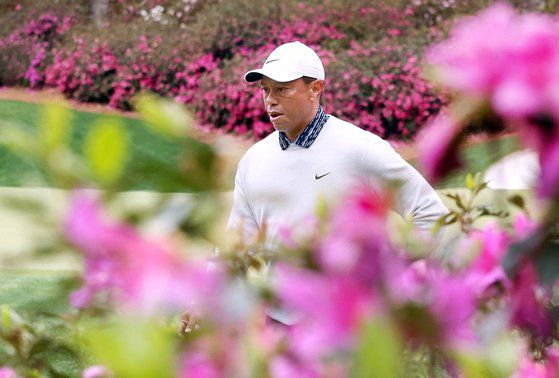 타이거 우즈. [AFP=연합뉴스]