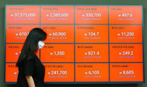 폭락한 루나 코인 추이