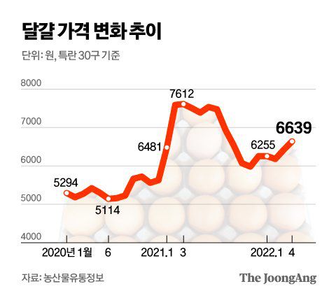 그래픽=김영옥 기자 yesok@joongang.co.kr