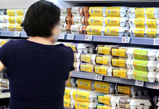 주요 곡물 산지인 러시아-우크라이나 사태가 장기화되면서 닭 사료에 들어가는 국제 곡물 가격이 급상승해 계란값이 급등하고 있다. 계란 한 판의 평균 소비자 가격은 4월 22일 기준 7010원으로 한달 전보다 10% 넘게 올랐다. 계란 한 판 가격이 7천원을 넘은 건 지난해 8월 이후 8개월만이다. 뉴시스