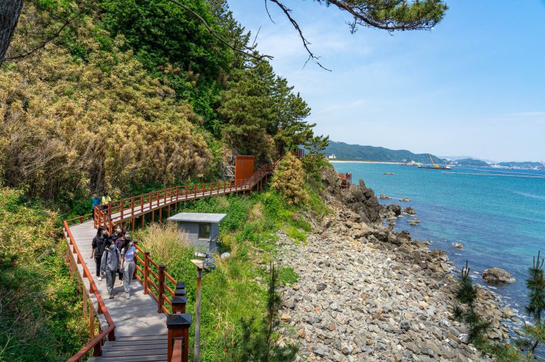 덕봉산 해안절벽을 따라 탐방로가 조성돼 있다. 탐방로 옆으로 군 감시초소가 아직 남아 있다.