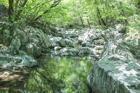 화강암 사이로 맑은 물이 흐르는 충남 서산 용현계곡. 사진 한국관광공사