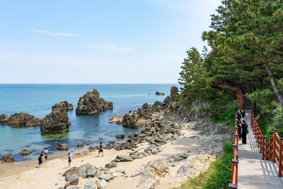 지난해 민간인 출입을 허용한 강원도 삼척 맹방해변 옆 덕봉산. 군 경계 철책으로 가로 막혀 53년 간 출입이 금지됐던 곳이다. 덕봉산은 해상 기암괴석을 볼 수 있는 해안코스 626m와 대나무 숲이 우거진 정상부 전망대로 오르는 내륙코스 317m 등 943m 길이의 탐방로를 갖췄다. 백종현 기자