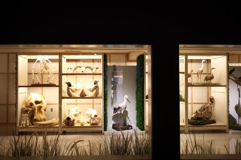 수장고 한 켠에 공개된 코리끼 뼈무덤. 장진영 기자